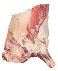 Forequarter